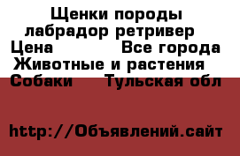 Щенки породы лабрадор ретривер › Цена ­ 8 000 - Все города Животные и растения » Собаки   . Тульская обл.